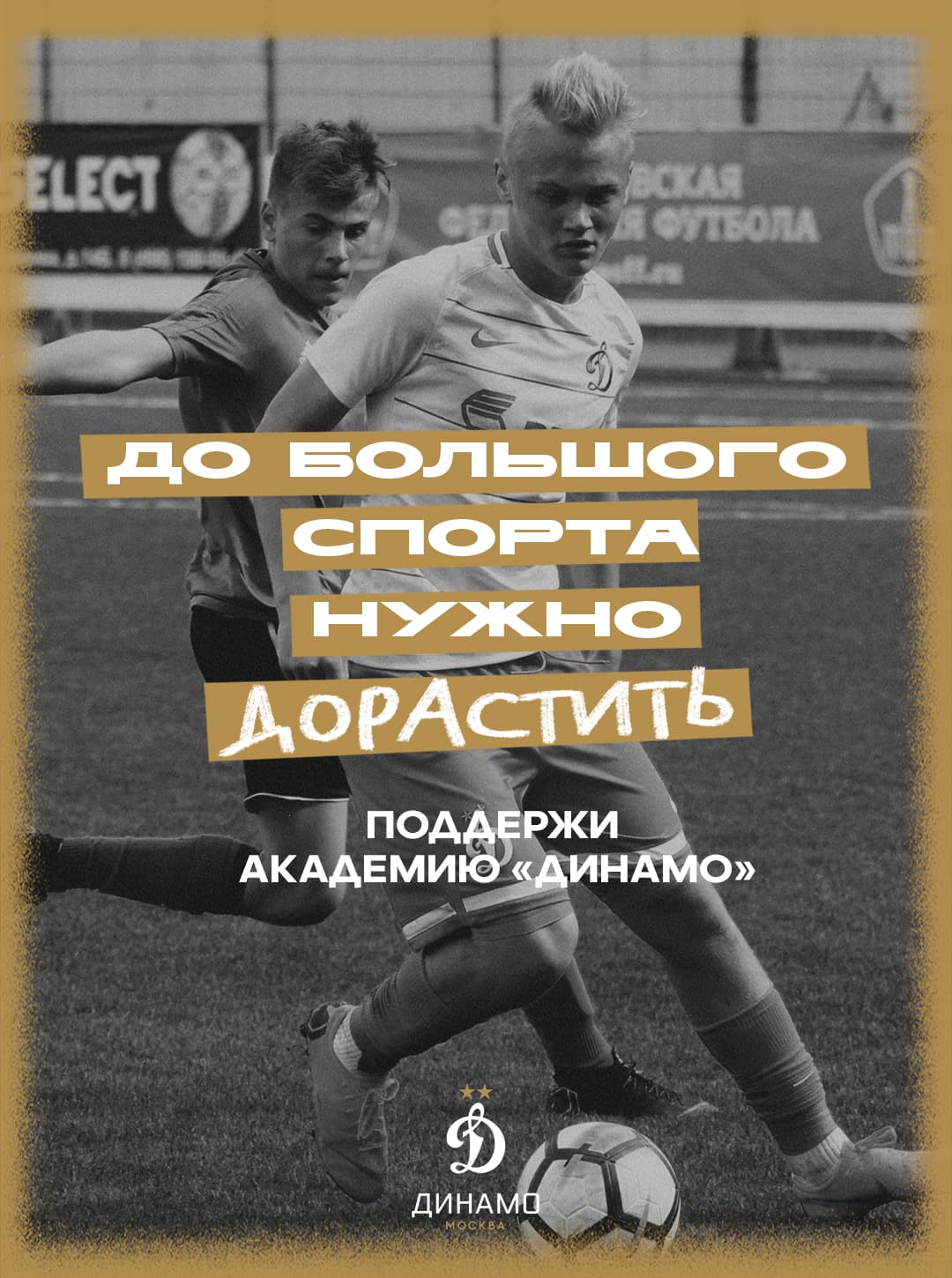 Dinamo_Endowment_Fund.jpg