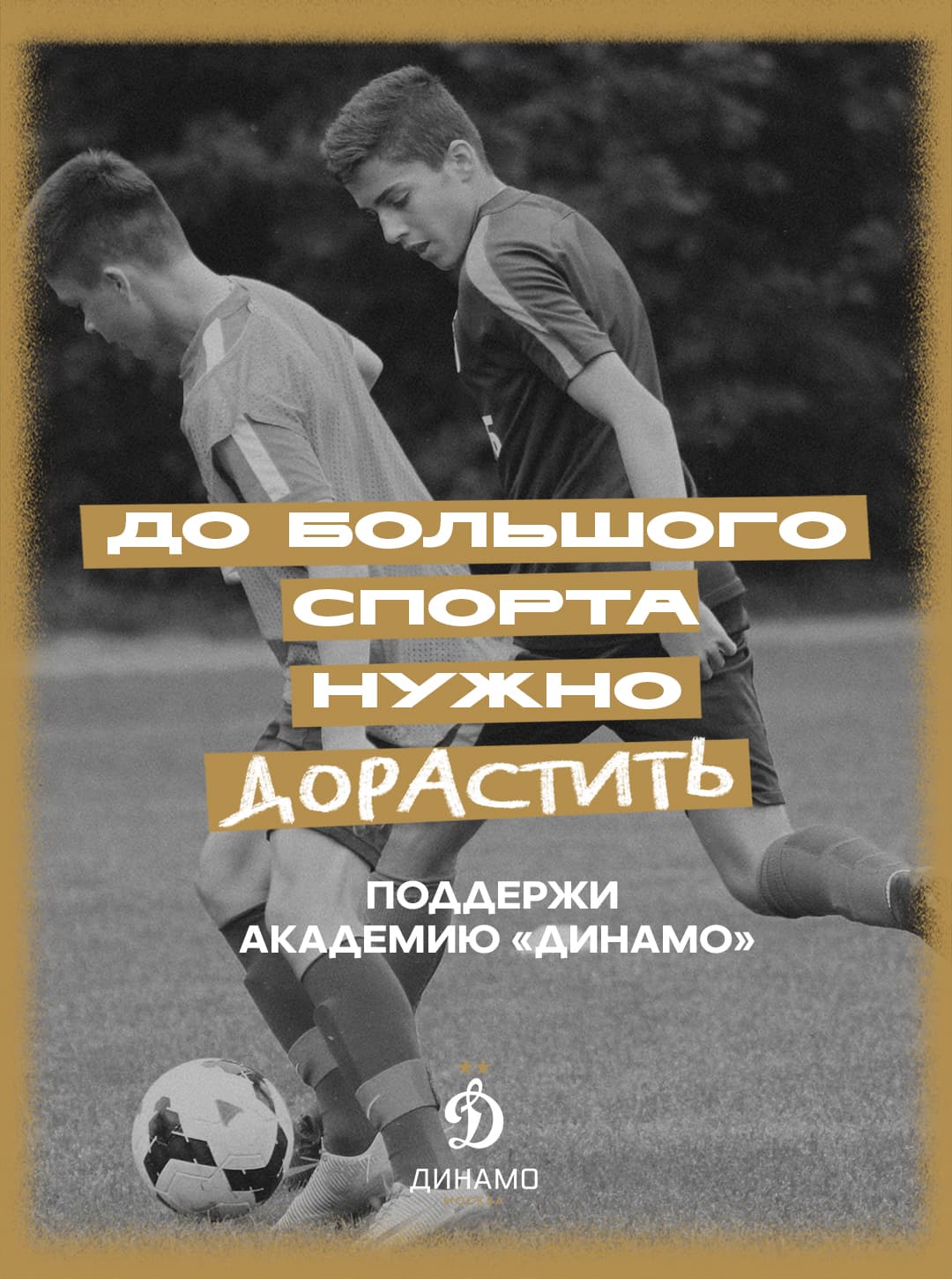 Dinamo_Endowment_Fund.jpg